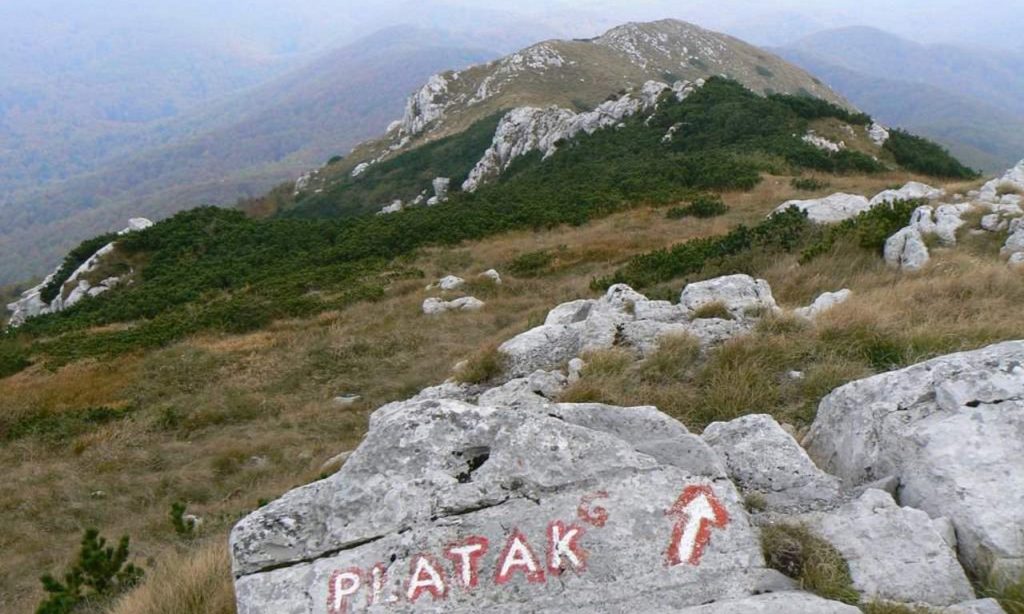 Platak