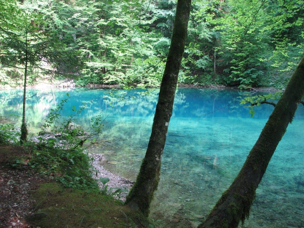 risnjak kupa