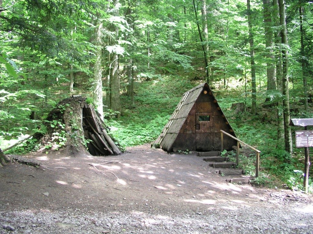 risnjak leska