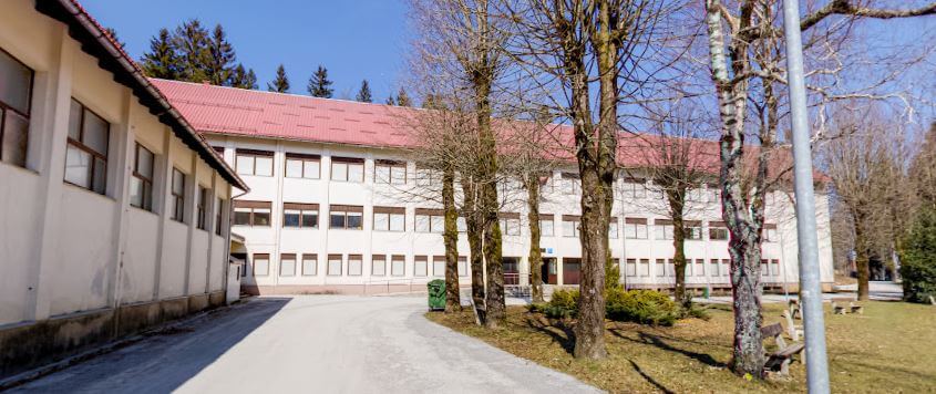 srednja škola delnice